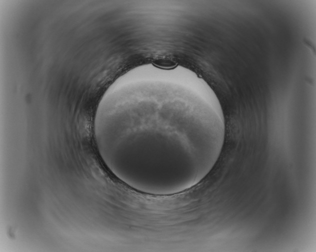 X0000100500039200806271309