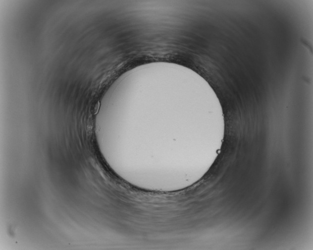 X0000100500040200806271309