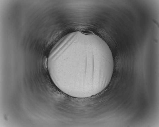 X0000100500041200806271309