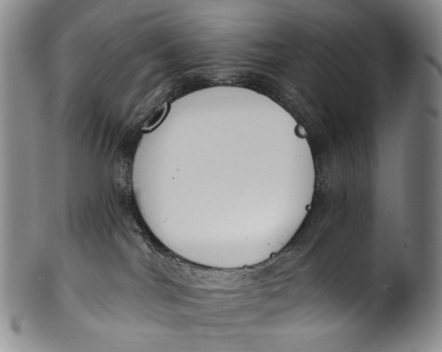 X0000100500044200806271309