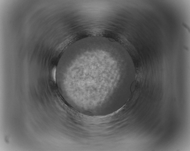 X0000100500047200806271309