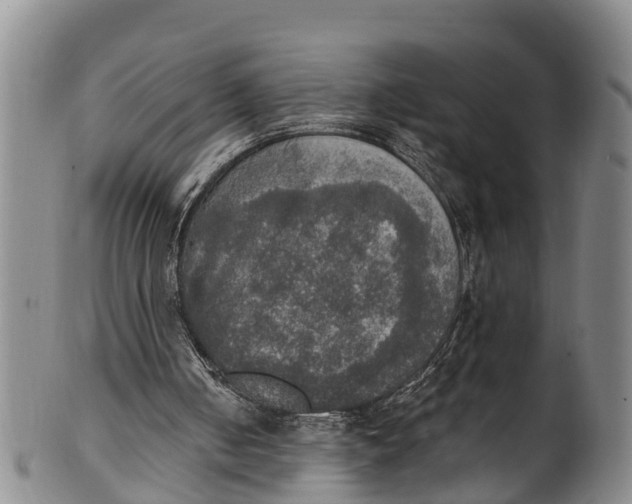 X0000100500050200806271308