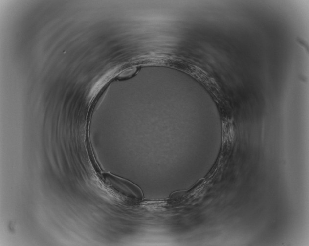 X0000100500051200806271308