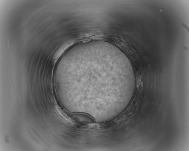 X0000100500052200806271308