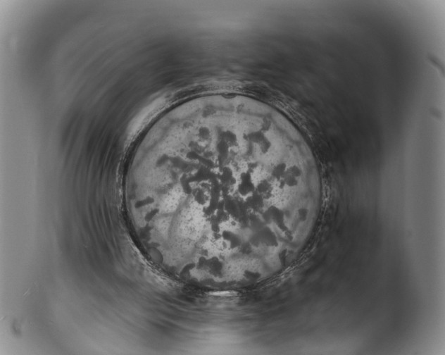 X0000100500053200806271308