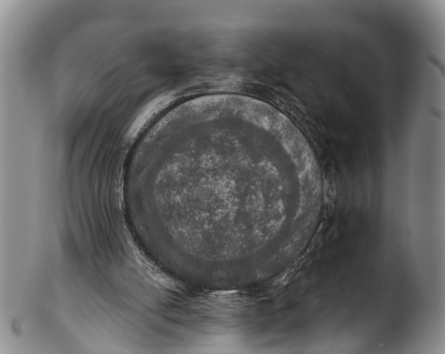 X0000100500054200806271308