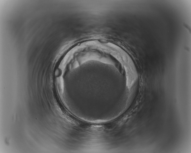 X0000100500055200806271308