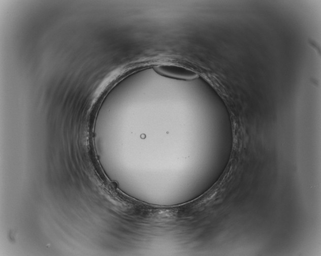 X0000100500056200806271308