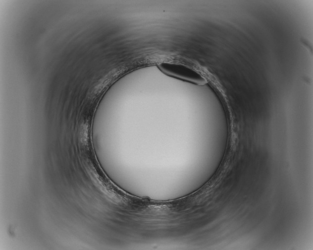 X0000100500057200806271308