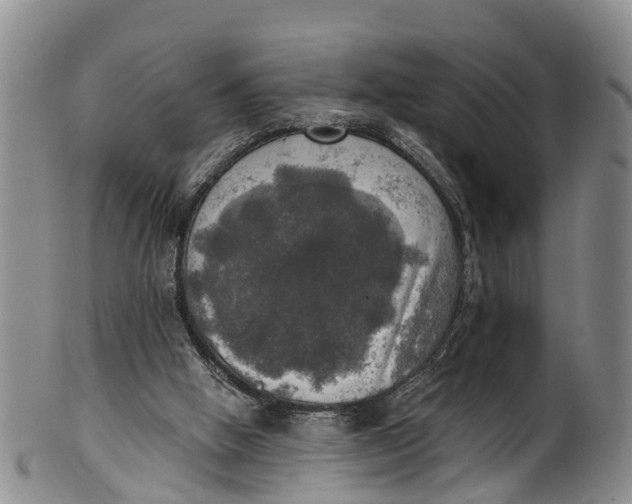 X0000100500058200806271308