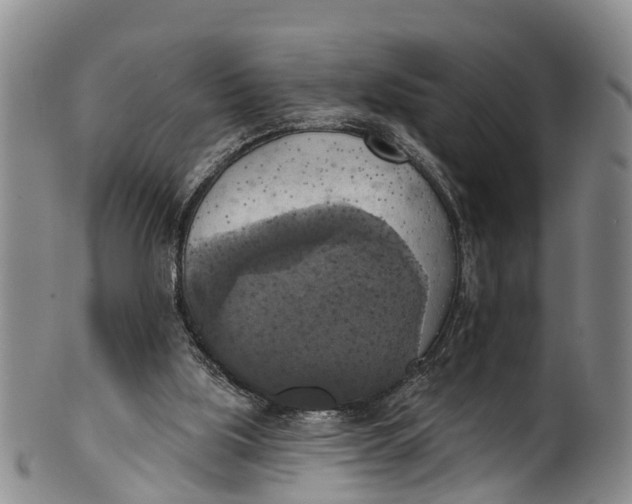 X0000100500059200806271308