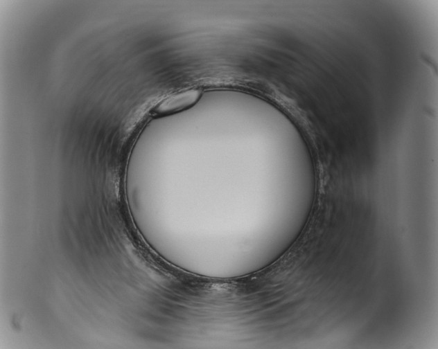 X0000100500060200806271308