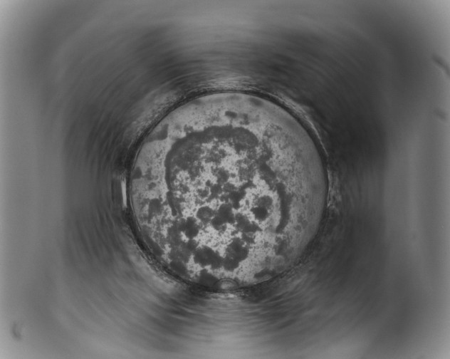 X0000100500061200806271308