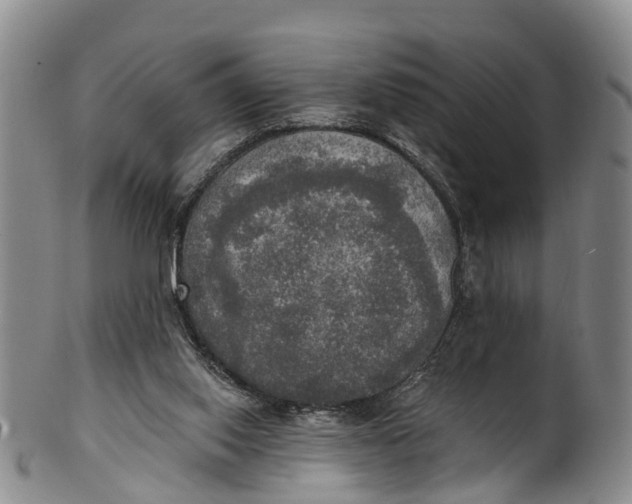 X0000100500062200806271308