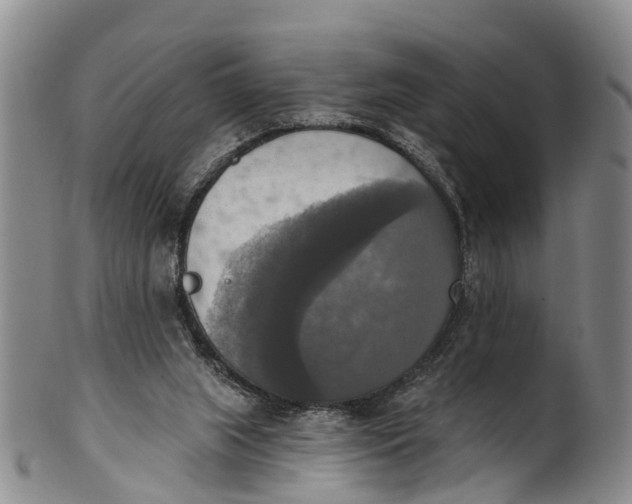 X0000100500063200806271308