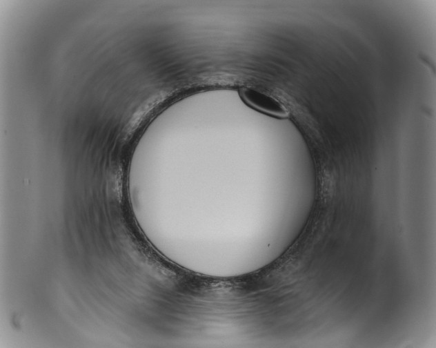 X0000100500064200806271308