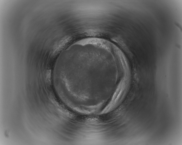 X0000100500066200806271308