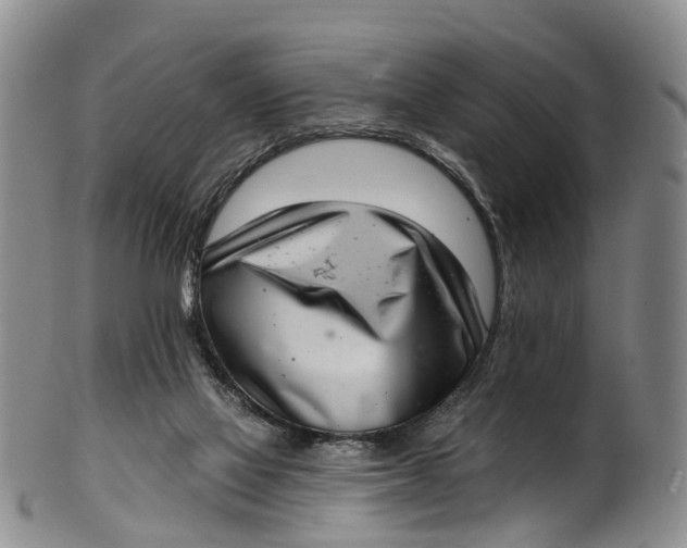 X0000100500069200806271308