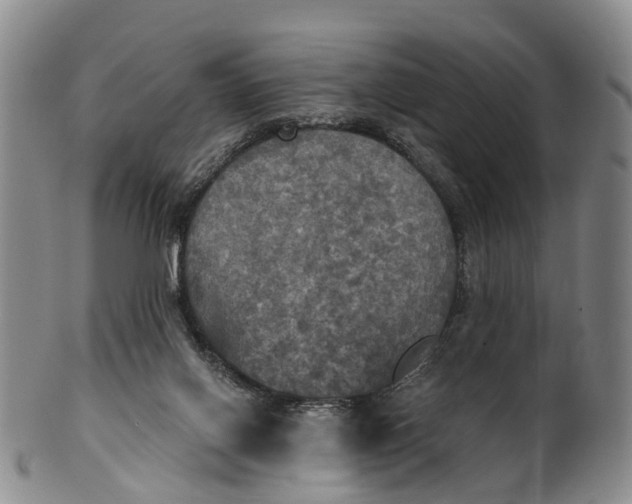 X0000100500070200806271308