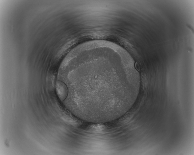 X0000100500071200806271308