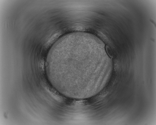 X0000100500072200806271308