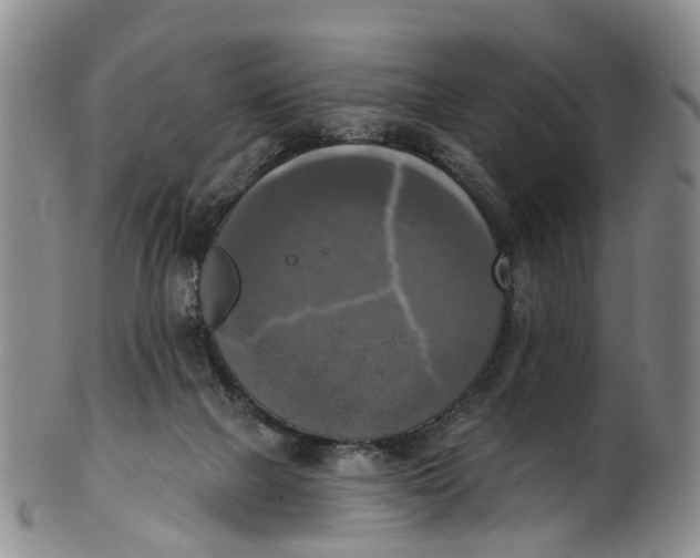 X0000100500073200806271308