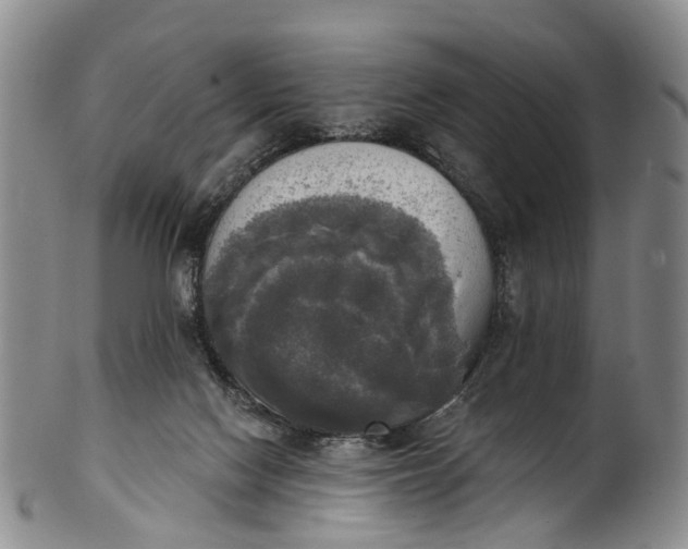 X0000100500074200806271308