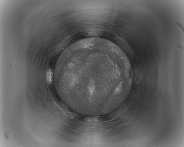 X0000100500075200806271308