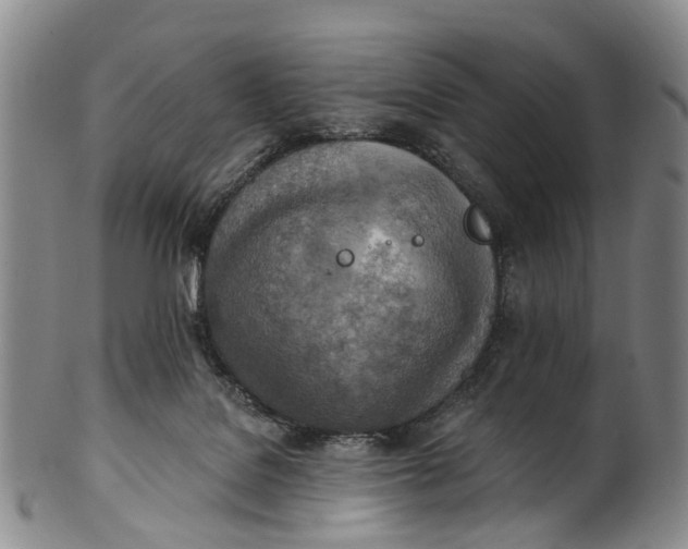 X0000100500076200806271308