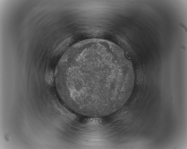 X0000100500077200806271308