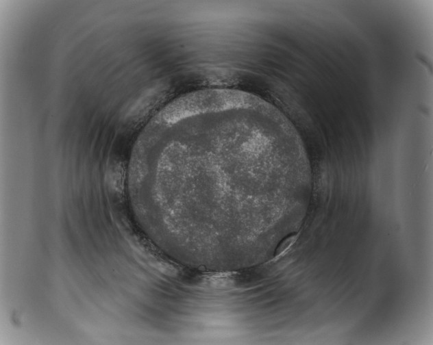 X0000100500078200806271308