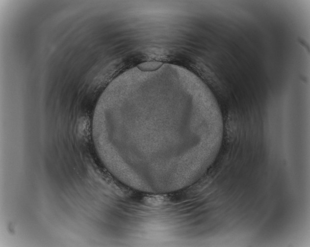 X0000100500079200806271308