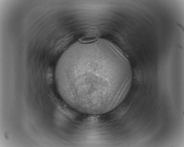 X0000100500080200806271308