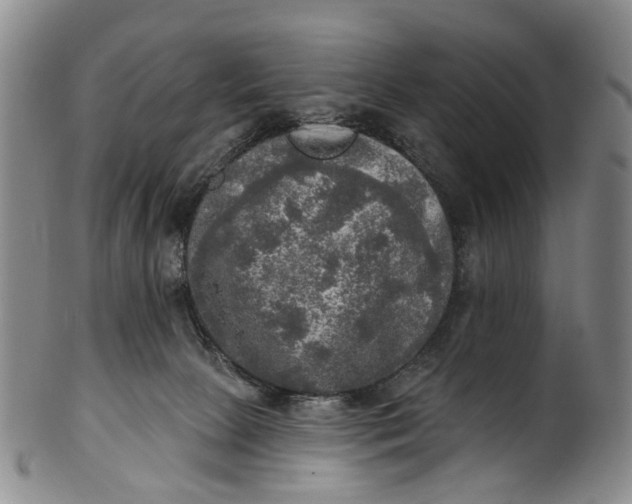 X0000100500081200806271308