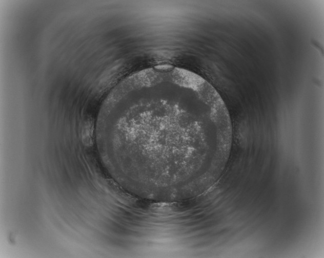 X0000100500082200806271308