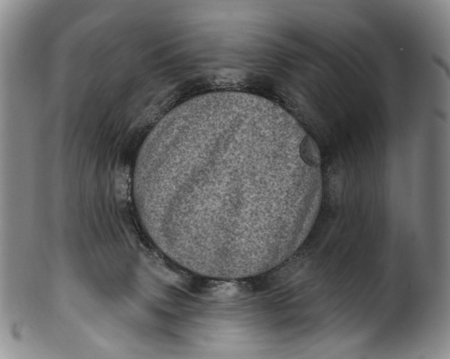 X0000100500083200806271308