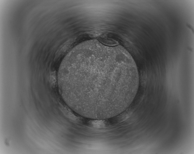 X0000100500085200806271308