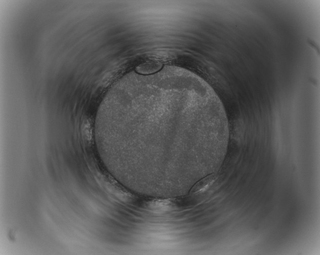 X0000100500086200806271308