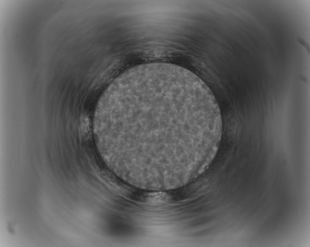 X0000100500087200806271308