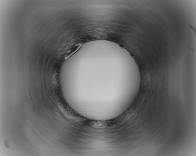 X0000100500088200806271308