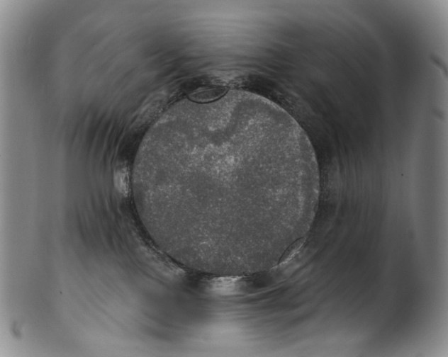 X0000100500090200806271308