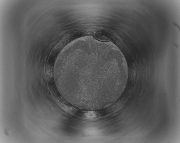 X0000100500091200806271308