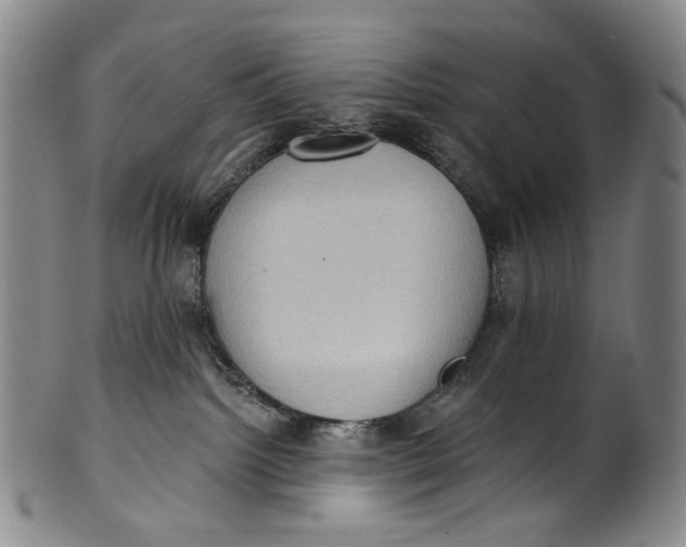 X0000100500092200806271308