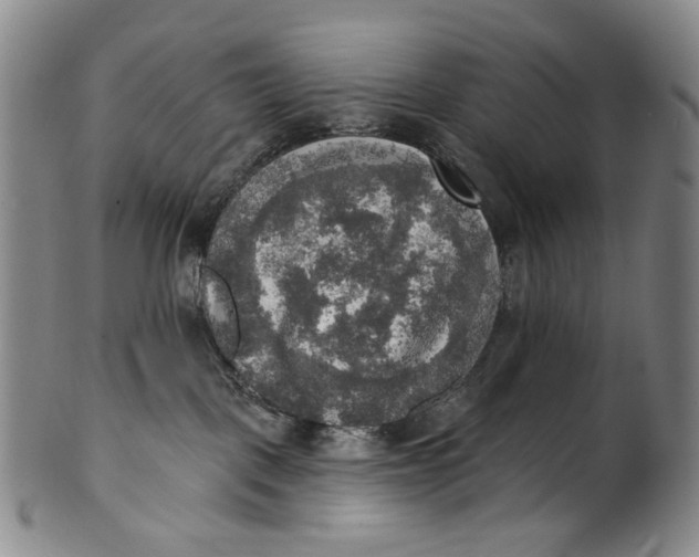 X0000100500093200806271309