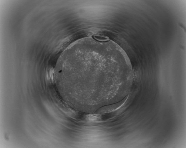 X0000100500094200806271309