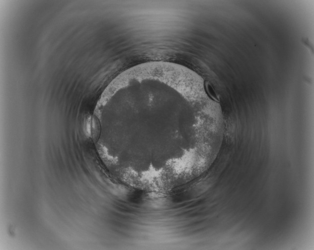 X0000100500095200806271309