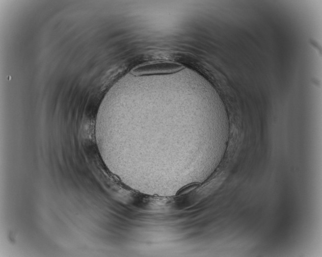 X0000100500096200806271309