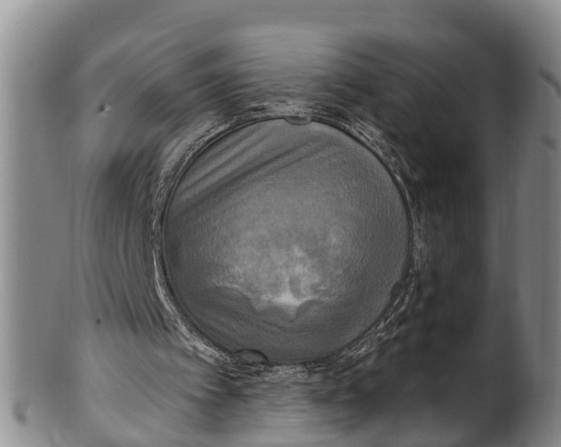 X0000100500097200806271308