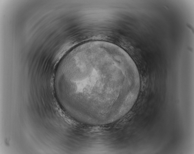 X0000100500098200806271308