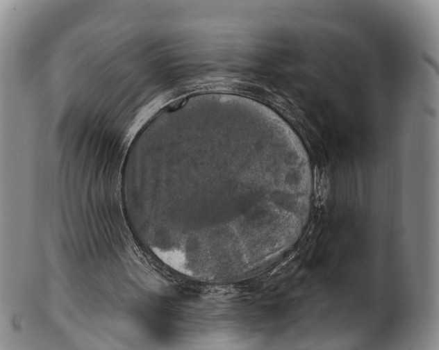 X0000100500099200806271308